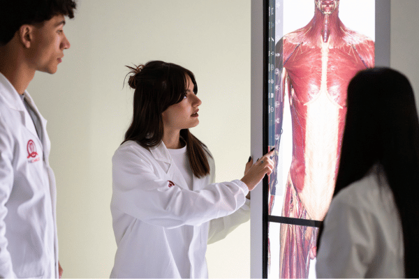 Laboratorio Anatomage - 4