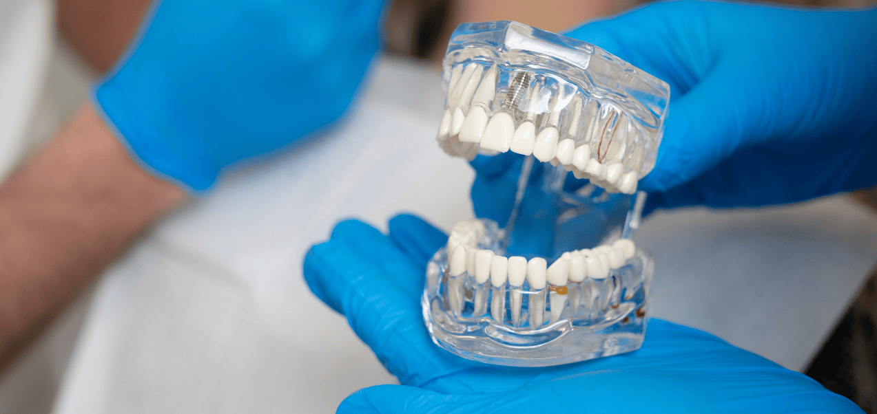 oral-implantology-2025-2026.png